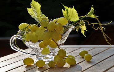 W jaki sposób przycinać winogrona